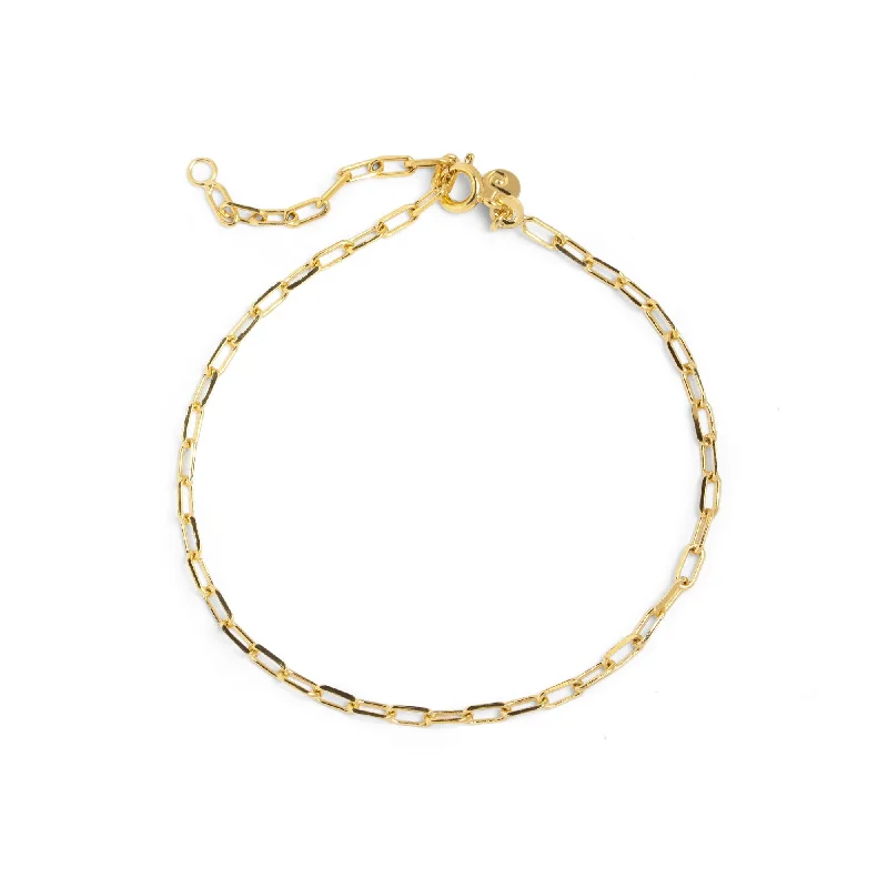 Chic Gold Anklet